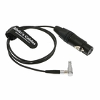 Alvin's Cables Arri Alexa Mini Audio Cable 5 Pin 00 Male to XLR 3 Pin Female